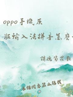 oppo手机原版输入法拼音怎么切换