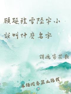 顾延程雪陆宇小说叫什么名字