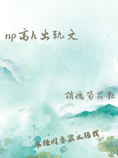 np高h出轨文