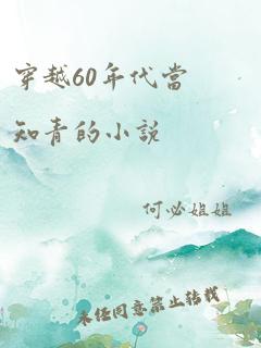 穿越60年代当知青的小说