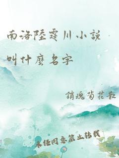 南洛陆霆川小说叫什么名字