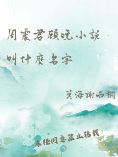 周震君顾晚小说叫什么名字