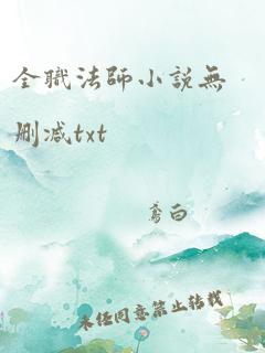 全职法师小说无删减txt