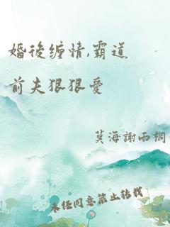 婚后缠情,霸道前夫狠狠爱