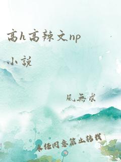 高h高辣文np小说