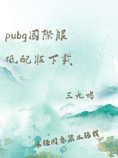 pubg国际服低配版下载