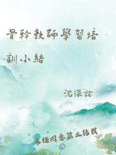 骨干教师学习培训小结