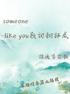 someone like you歌词翻译成中文