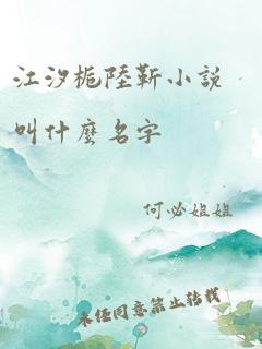 江汐栀陆靳小说叫什么名字