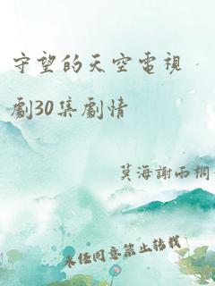 守望的天空电视剧30集剧情