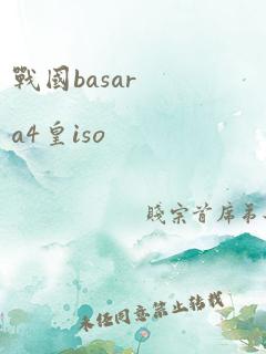 战国basara4皇iso