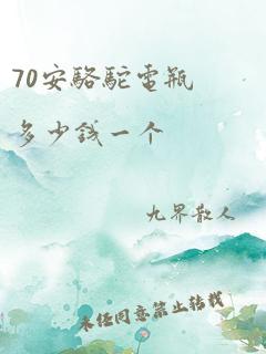 70安骆驼电瓶多少钱一个