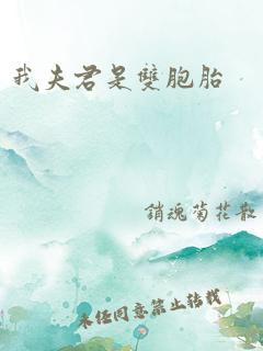 我夫君是双胞胎