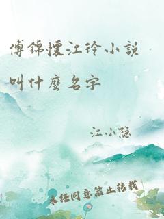 傅锦怀江玲小说叫什么名字