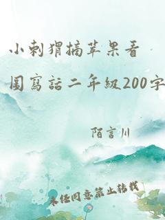 小刺猬摘苹果看图写话二年级200字