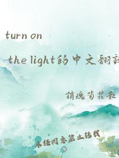 turn on the light的中文翻译