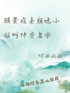 顾景曜秦颜晚小说叫什么名字