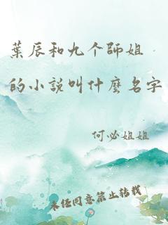 叶辰和九个师姐的小说叫什么名字