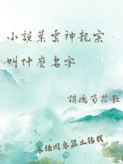 小说叶云神龙宗叫什么名字