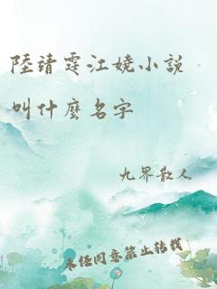 陆靖霆江娆小说叫什么名字