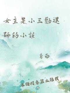 女主是小三劝退师的小说