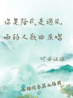 你是陪我走过风雨的人歌曲原唱