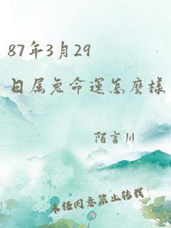 87年3月29日属兔命运怎么样