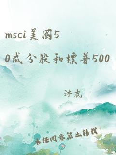 msci美国50成分股和标普500