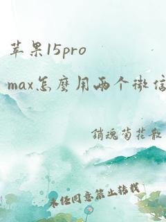 苹果15promax怎么用两个微信