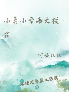 小柔小雪两大校花