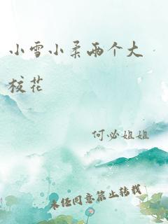 小雪小柔两个大校花