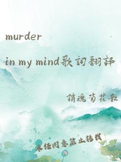 murder in my mind歌词翻译