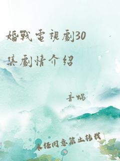 婚战电视剧30集剧情介绍